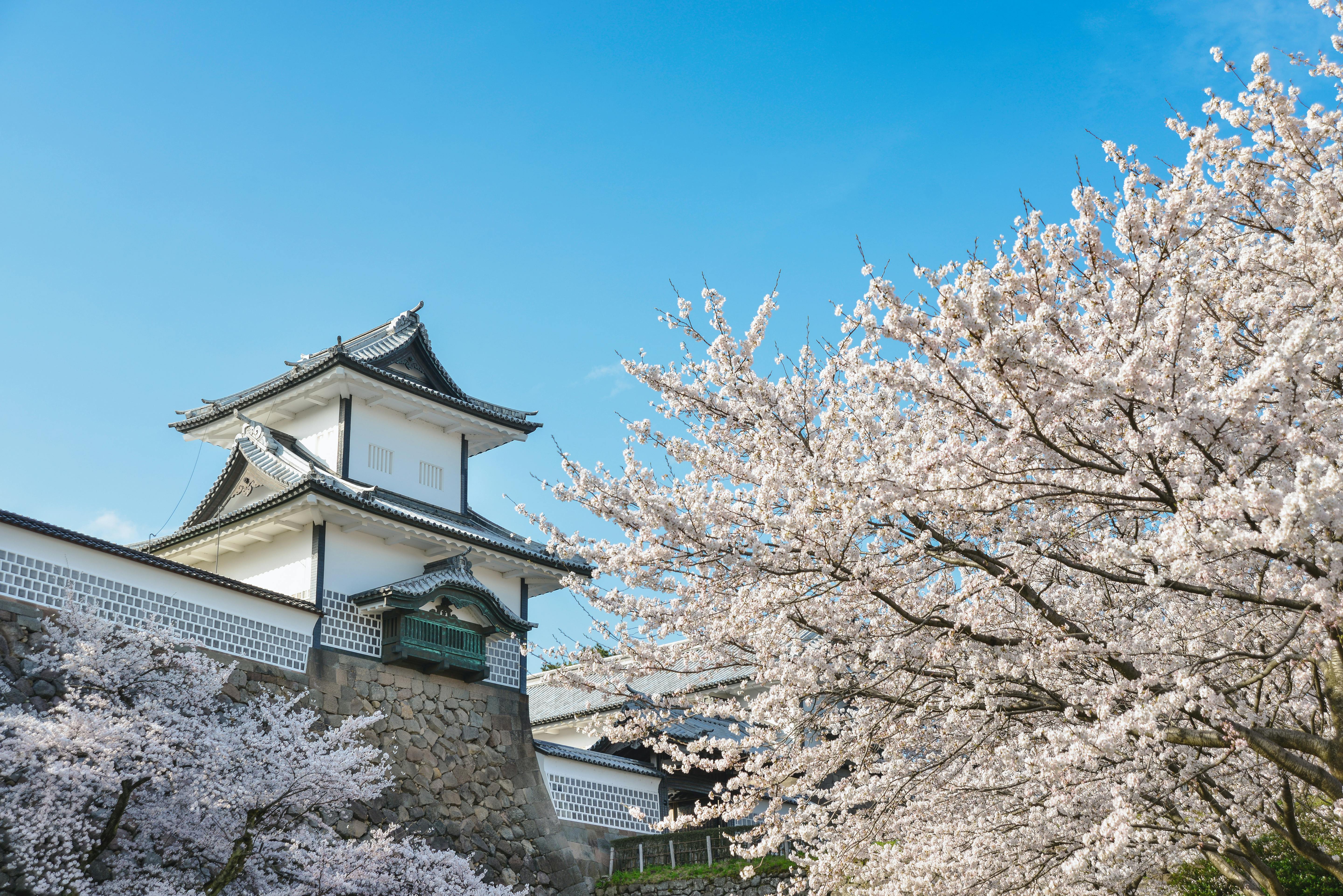 Kanazawa Castle Park