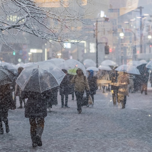 Tokyo Weather in January People walk down a snowy city street holding transparent umbrellas. The ground and trees are covered in snow, and buildings are faintly visible in the background. The scene captures a bustling urban environment during a snowstorm.
