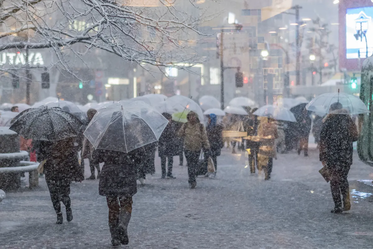 Tokyo Weather in January People walk down a snowy city street holding transparent umbrellas. The ground and trees are covered in snow, and buildings are faintly visible in the background. The scene captures a bustling urban environment during a snowstorm.