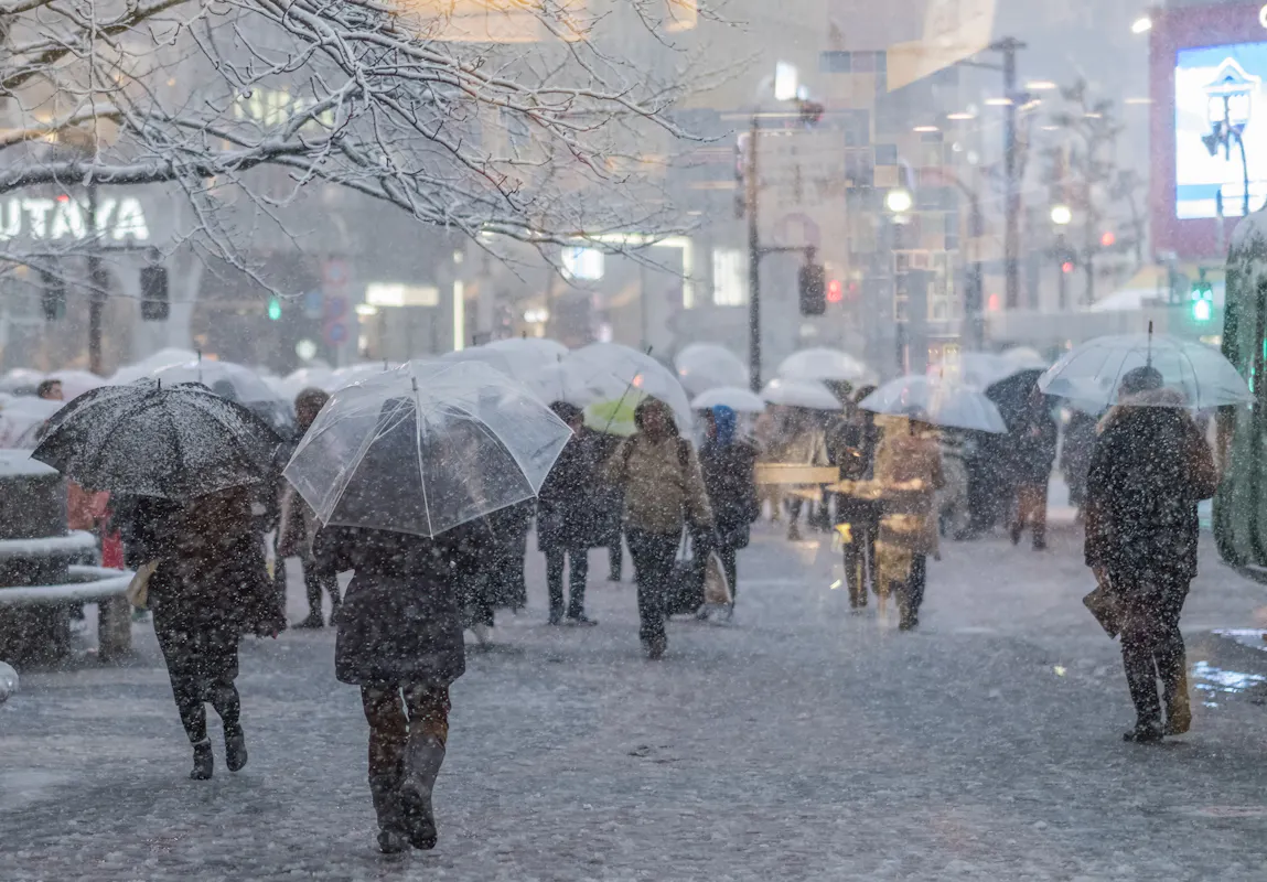 People walk down a snowy city street holding transparent umbrellas. The ground and trees are covered in snow, and buildings are faintly visible in the background. The scene captures a bustling urban environment during a snowstorm.