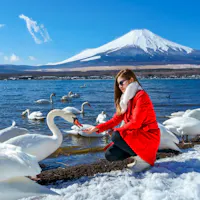 Mount Fuji Mount Fuji