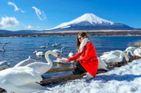 Mount Fuji