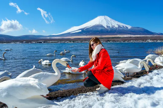Mount Fuji