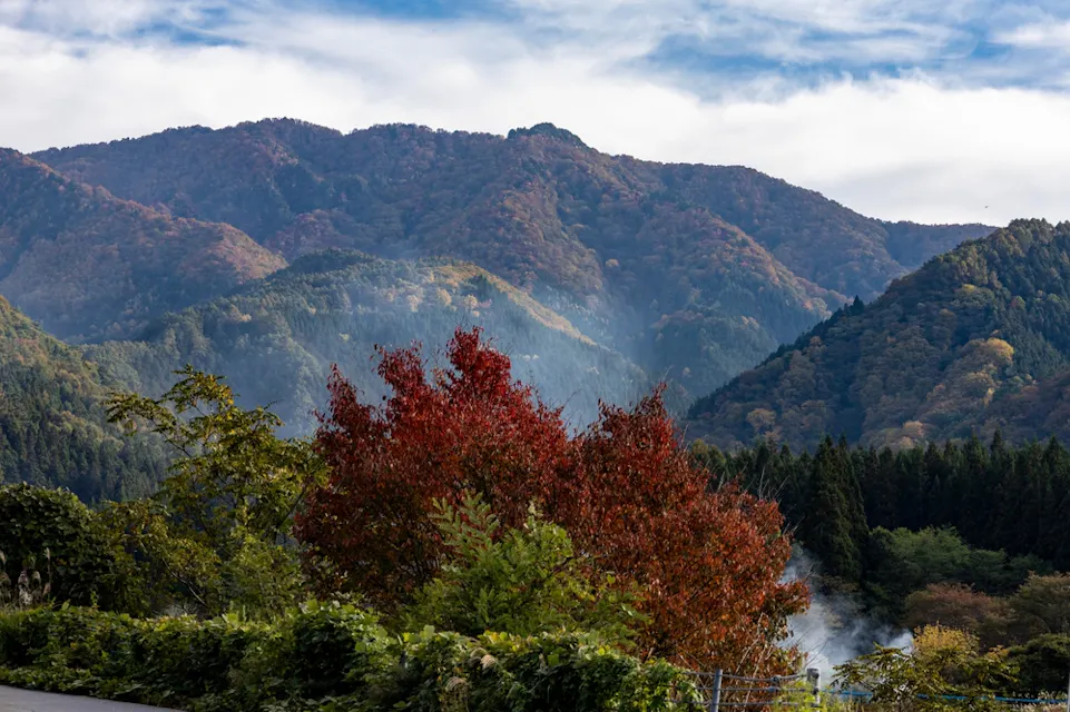 Scenic landscape of mountains covered in dense forest, displaying vibrant autumn colors. A foreground tree with bright red leaves stands out against the green and brown foliage of the mountainside under a partly cloudy sky.