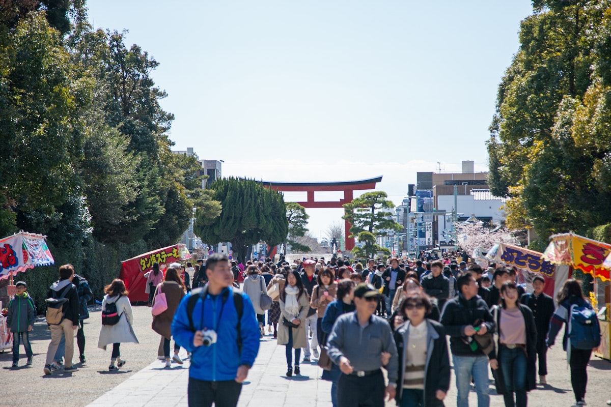 Kamakura Shrine Guide A lively crowd walks along a pathway lined with trees, leading to a large red torii gate in the background. Vendor stalls with colorful signs are on both sides, and the sky is clear and bright.
