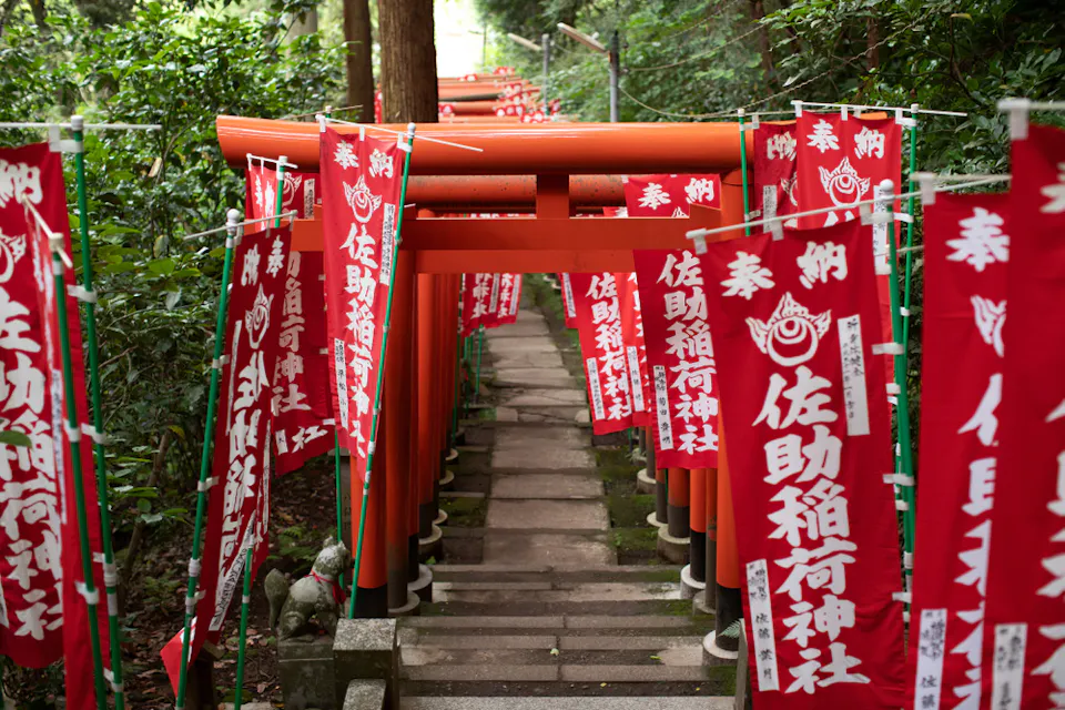 A tranquil path lined with red torii gates and vibrant red banners featuring white Japanese characters. The path is surrounded by lush green foliage, creating a serene and inviting atmosphere.