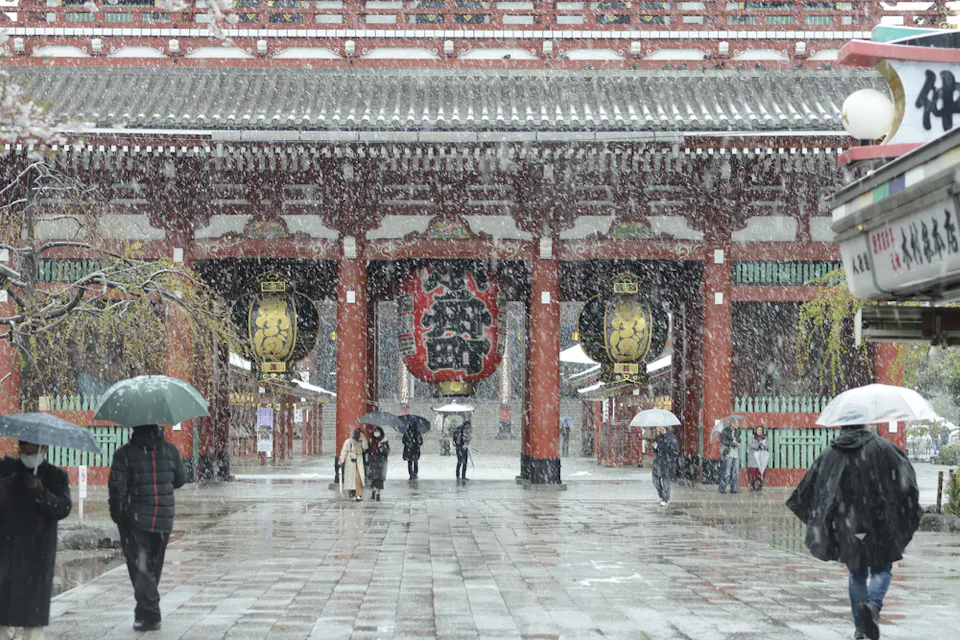 People walk under umbrellas in front of a traditional Japanese temple gate during a snowfall. The gate has large lanterns hanging from it, and the scene is framed by snowy trees and modern signage on the right.