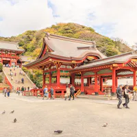 Tsurugaoka Hachimangu Shrine A traditional Japanese shrine with ornate red and white wooden structures is set against a backdrop of lush greenery. People are walking and exploring the temple grounds, and pigeons are on the foreground near the gravel path.