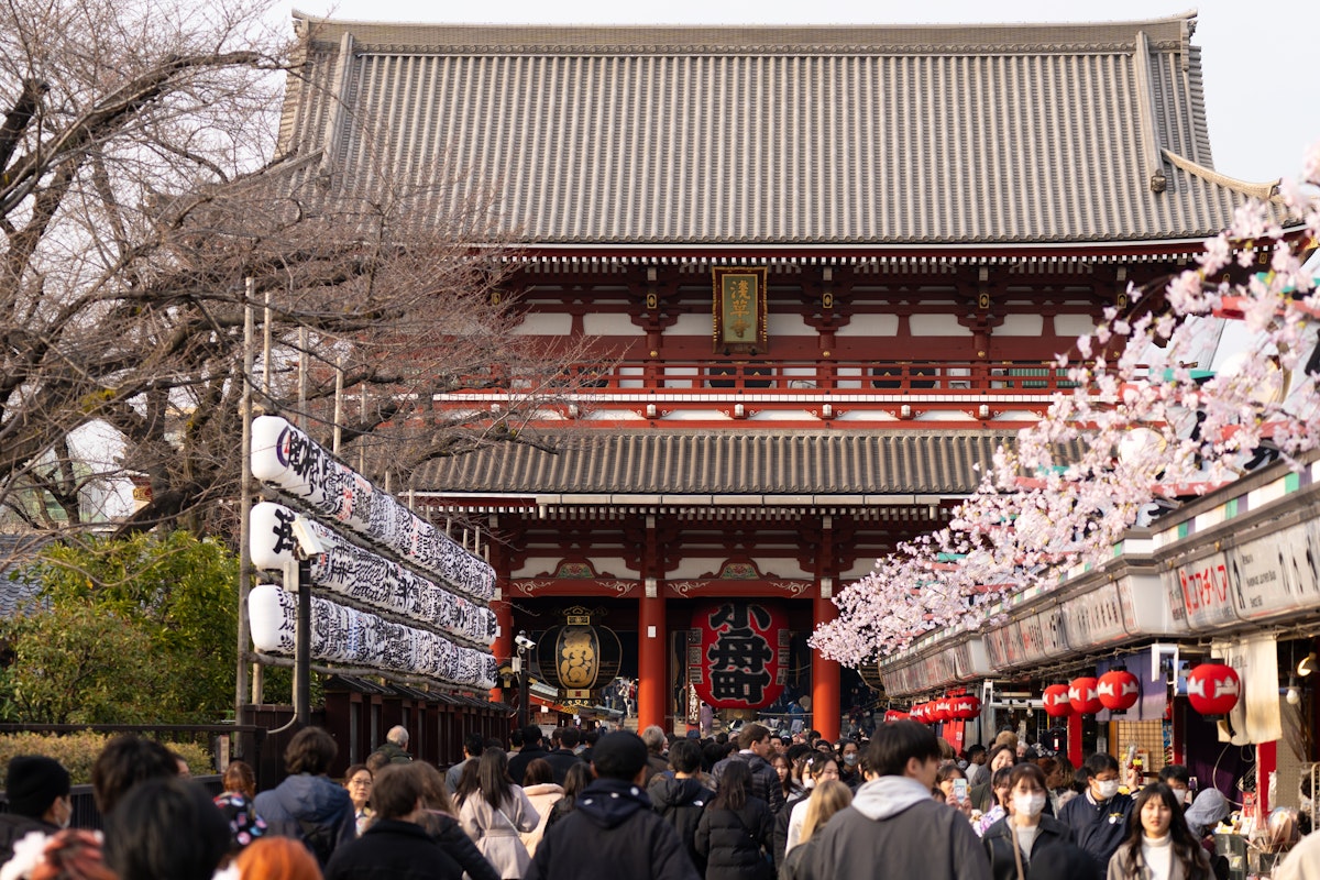 Visiting Japan in March A bustling crowd walks towards a traditional Japanese temple, with lanterns and cherry blossom decorations lining the path. The temple's grand facade features intricate designs, and bare trees are visible on the side.