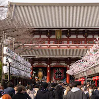 Visiting Japan in March A bustling crowd walks towards a traditional Japanese temple, with lanterns and cherry blossom decorations lining the path. The temple's grand facade features intricate designs, and bare trees are visible on the side.