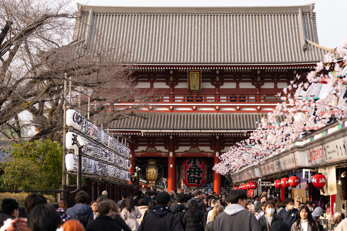 Visiting Japan in March A bustling crowd walks towards a traditional Japanese temple, with lanterns and cherry blossom decorations lining the path. The temple's grand facade features intricate designs, and bare trees are visible on the side.