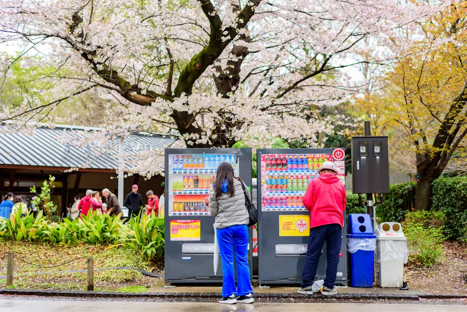 Two people stand in front of vending machines near a blooming cherry blossom tree. One person is dressed in blue and grey, the other in red. A small building and more people are visible in the background.
