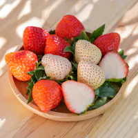Top 5 Places for Strawberry Picking in Japan A wooden plate on a light wooden table holds an arrangement of ripe red and pale white strawberries, some of which are halved, with leaves still attached. Dappled sunlight creates patterns of shadows on the surface.
