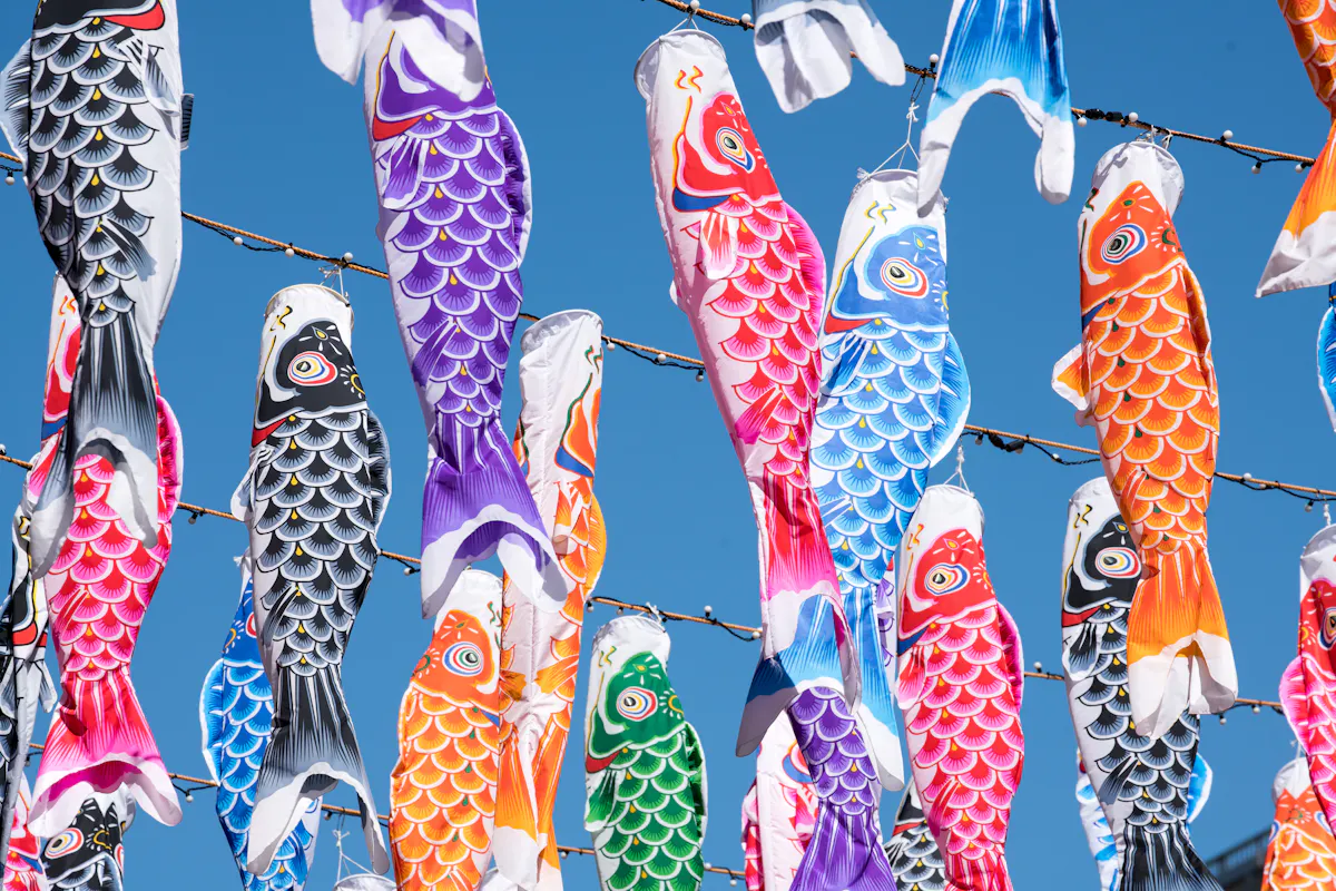 Colorful carp-shaped windsocks, also known as koinobori, are hanging against a clear blue sky. The vibrant fish are in various colors, including purple, blue, red, and orange, creating a festive and lively atmosphere.