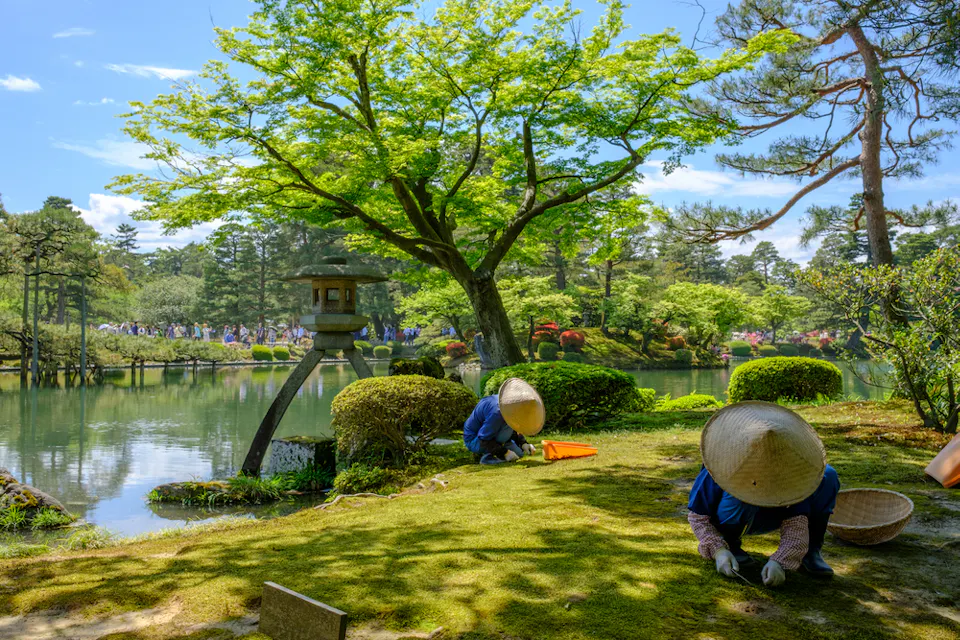 Two gardeners wearing traditional hats tend to a moss-covered lawn near a serene pond in a Japanese garden. A stone lantern stands nearby under a bright green tree, with clear blue skies and distant visitors in the background.