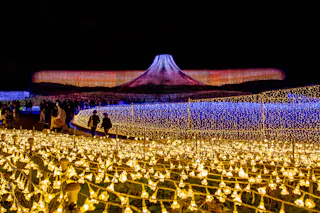 A vibrant night scene showing a large field of illuminated lights, with warm yellow bulbs in the foreground and cool blue tones further back. In the background, a light display resembling a mountain is visible against the dark sky.