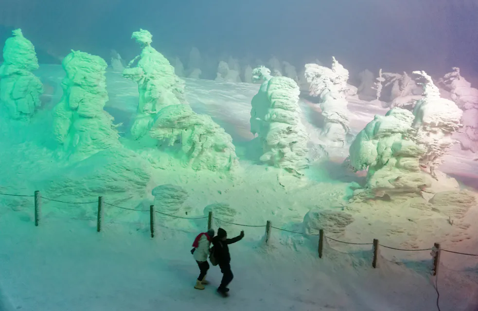 Zao Snow Monster Illumination