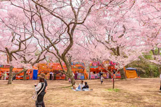Takato Joshi Park (Takato Castle Ruins Park)