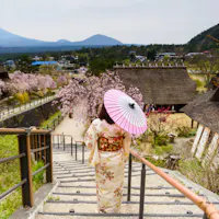 Japanese woman with traditional kimono and umbrella at Saiko Iyashi no Sato Nenba A person wearing a floral kimono walks down stairs holding a pink parasol, with cherry blossoms, traditional thatched-roof houses, and a snow-capped mountain in the background, under a cloudy sky.