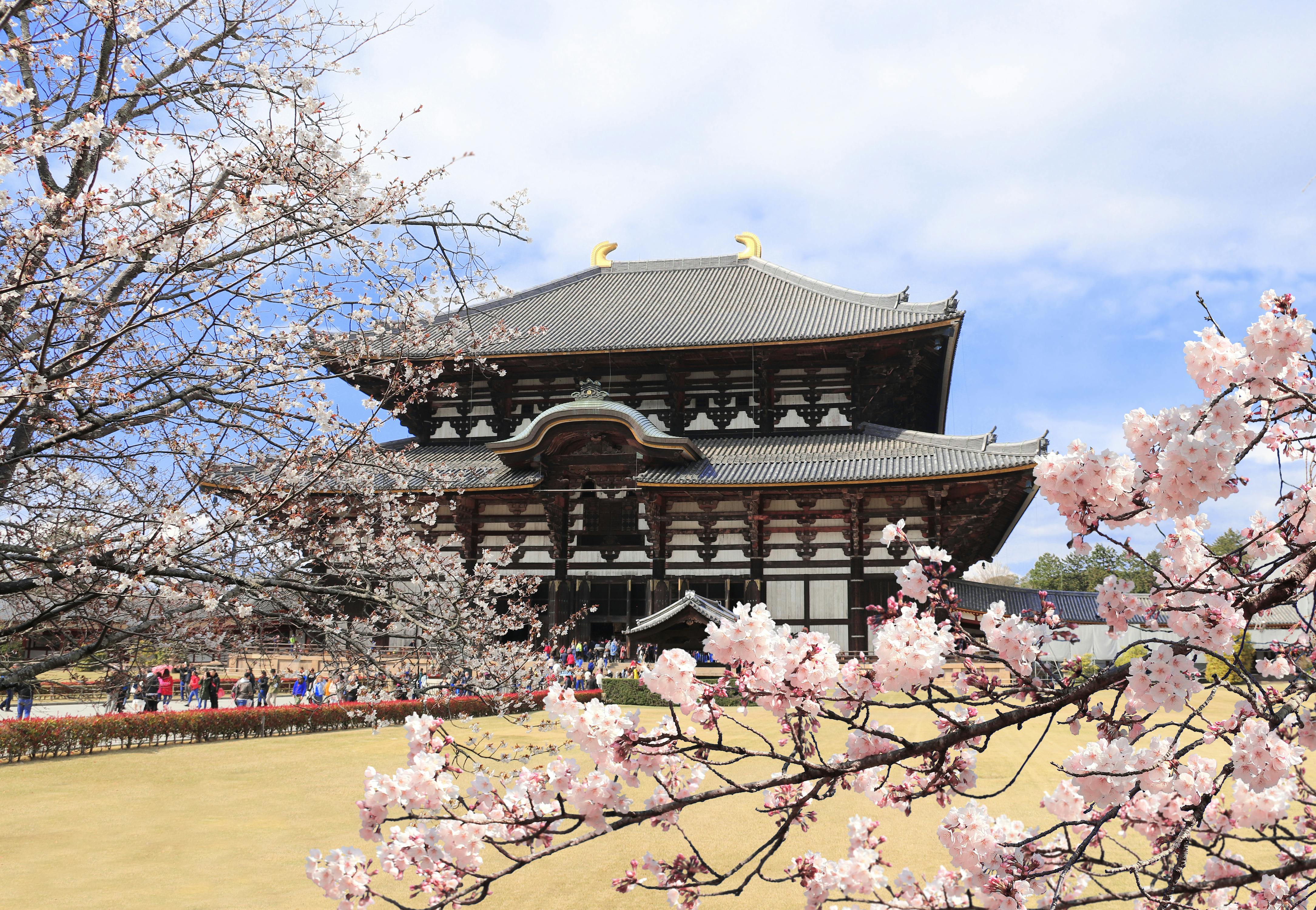 Todaiji Temple