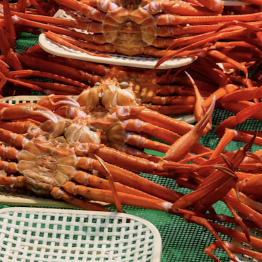 Kashiwazaki Kashiwazaki