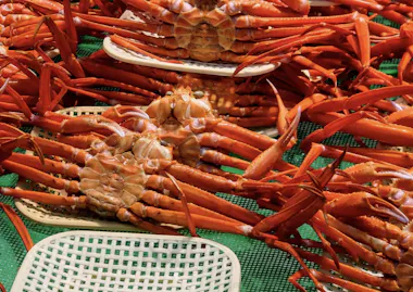 Several red-orange crabs displayed on green mesh at a market, with their legs splayed outward and stacked on white plastic trays.