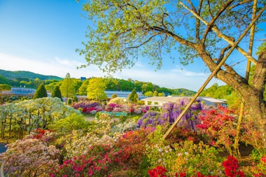 Ashikaga Flower Park