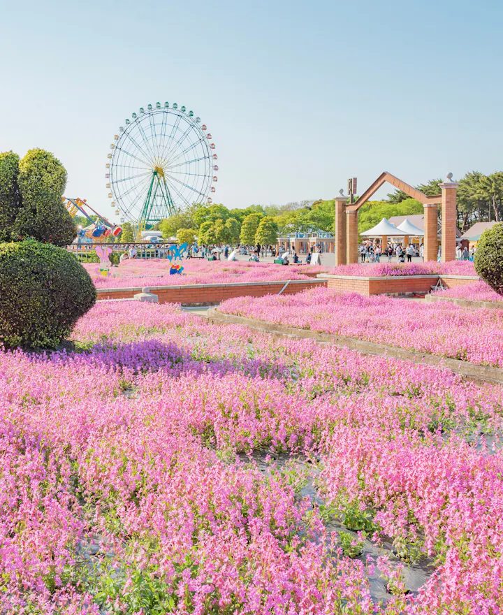 Hitachi Seaside Park Hitachi Seaside Park