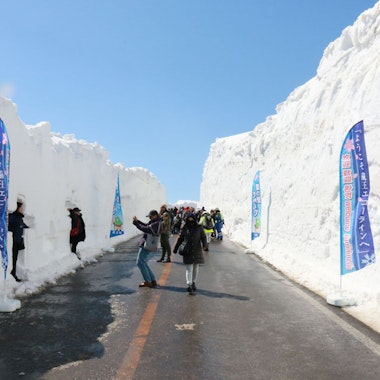 Zao Snow Wall and Sakura Tour Zao Snow Wall and Sakura Tour