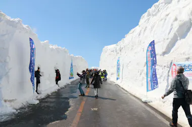 Zao Snow Wall and Sakura Tour