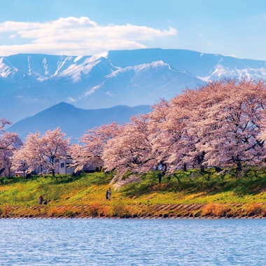 Zao Snow Wall and Sakura Tour Zao Snow Wall and Sakura Tour