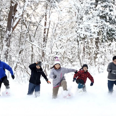 Shirakawago Lightup Bus Tour Shirakawago Lightup Bus Tour