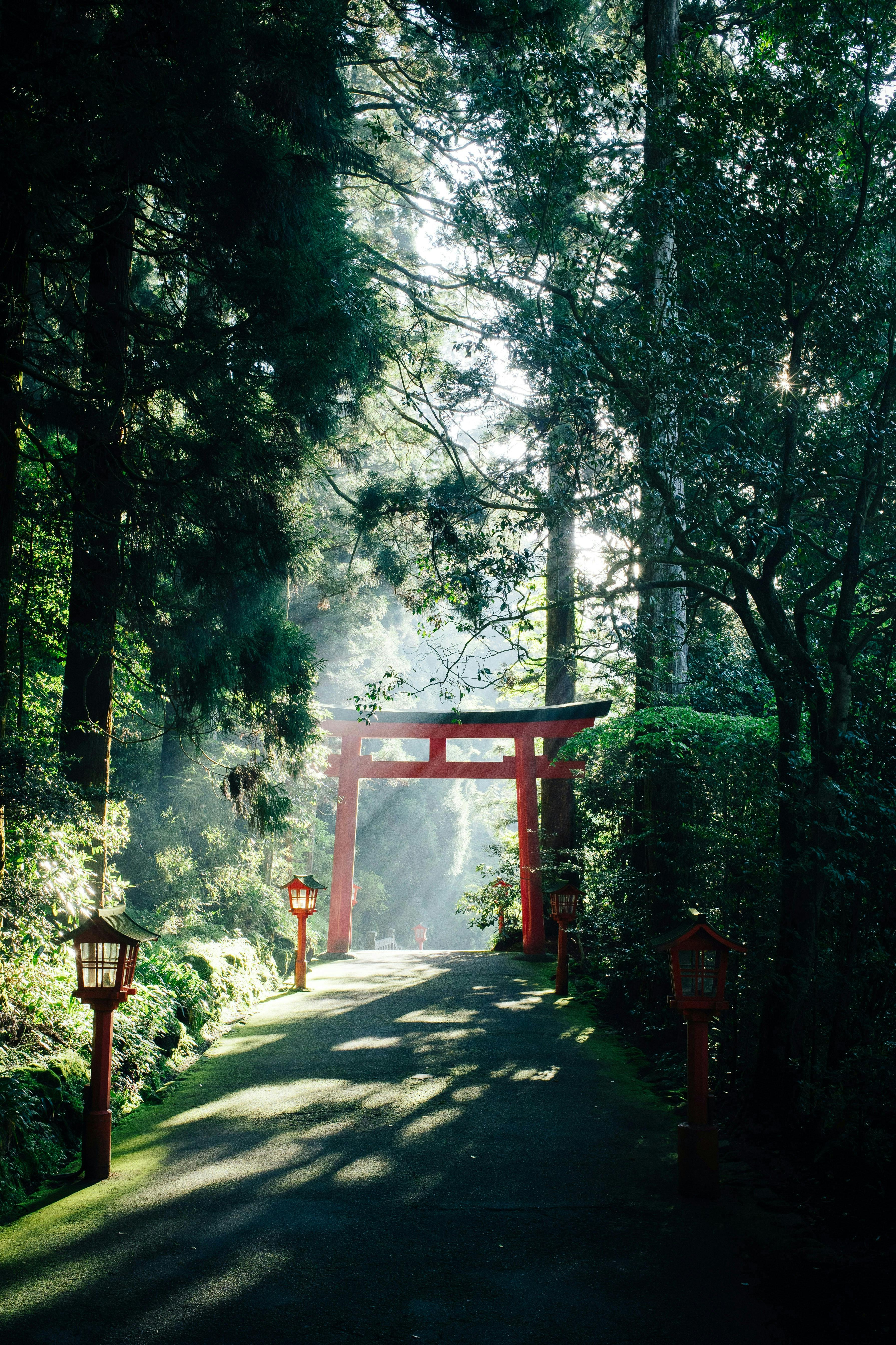 Hakone Shrine