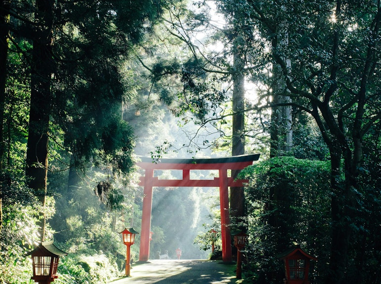 Tokyo: Luxurious Tour of Mt.Fuji and Hakone at a Leisurely Pace