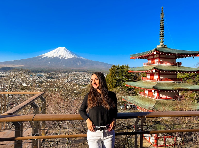 Private Mt. Fuji Day Tour From Tokyo