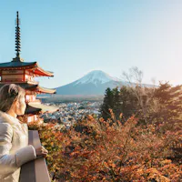 Traveling to Japan Alone Traveling to Japan Alone