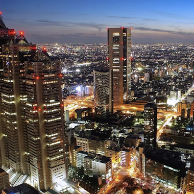 Tokyo Highlights Tour Tokyo Highlights Tour