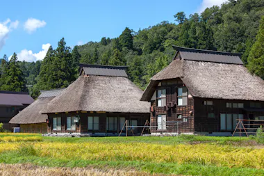 Two traditional Japanese houses with steep thatched roofs stand among golden rice fields, surrounded by green trees and hills under a bright blue sky.