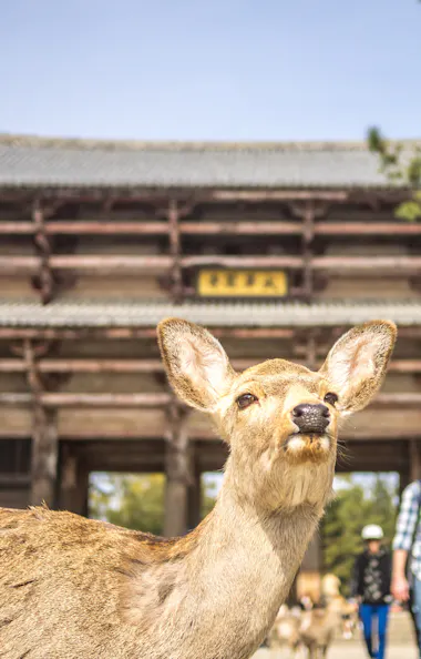 Nandaimon Gate Nandaimon Gate
