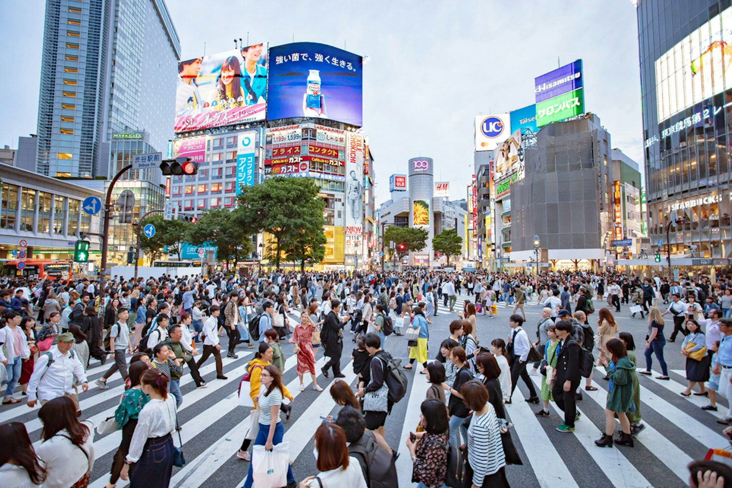 The Ultimate Tokyo Guide Discover Best Of Japan s Capital Trip To Japan The Ultimate Tokyo Guide Discover Best Of Japan s Capital Trip To Japan