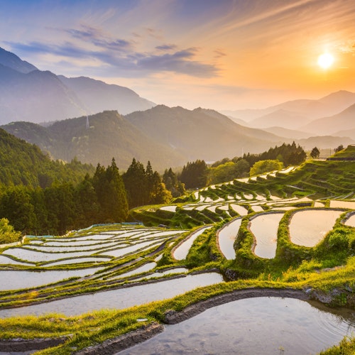 Japanese Mountains A picturesque view of terraced rice fields at sunset, reflecting the golden sunlight. The fields are surrounded by lush green hills and distant mountains. The sky is a blend of orange and blue hues, with the sun near the horizon.