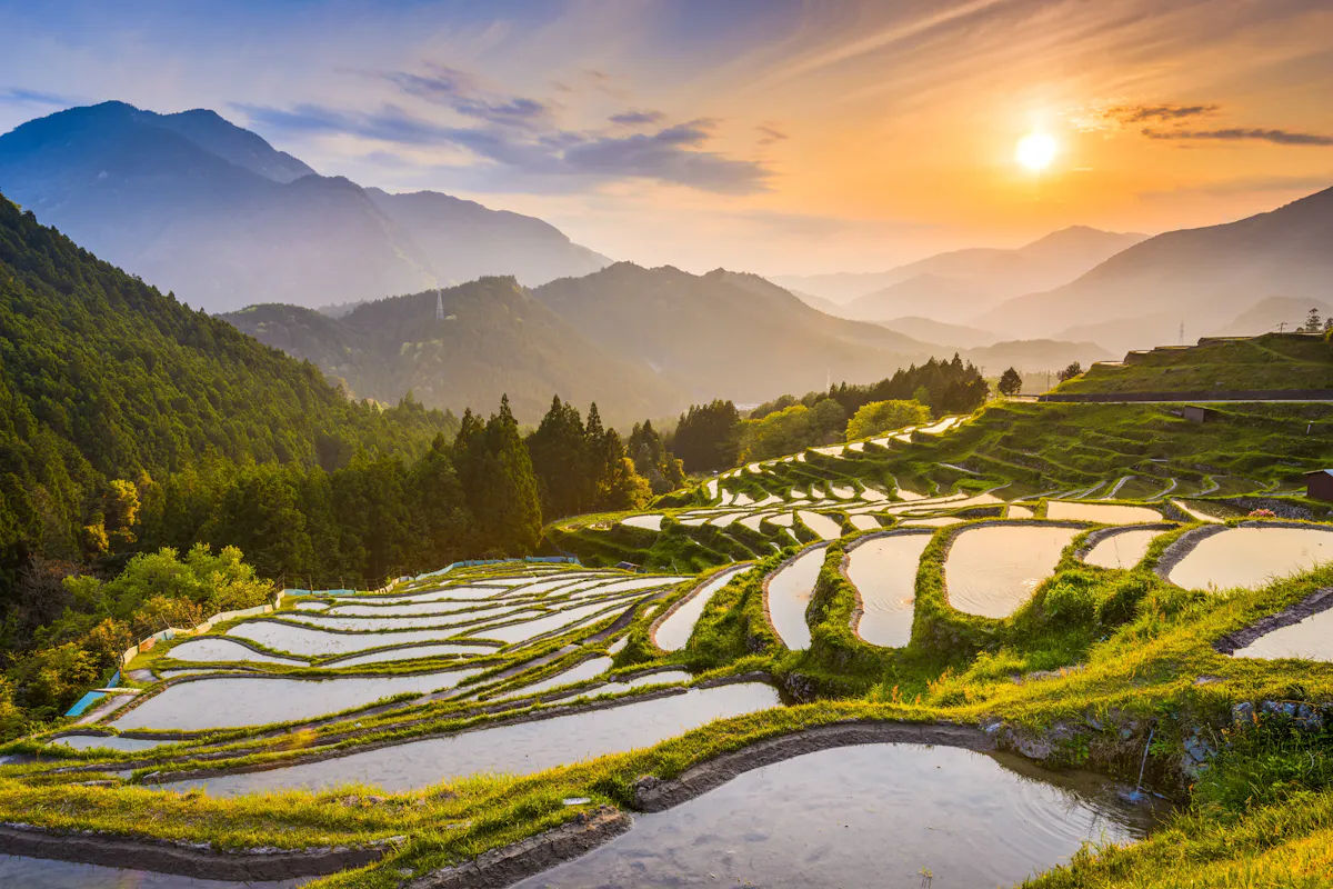 Japanese Mountains A picturesque view of terraced rice fields at sunset, reflecting the golden sunlight. The fields are surrounded by lush green hills and distant mountains. The sky is a blend of orange and blue hues, with the sun near the horizon.