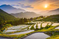 A picturesque view of terraced rice fields at sunset, reflecting the golden sunlight. The fields are surrounded by lush green hills and distant mountains. The sky is a blend of orange and blue hues, with the sun near the horizon.