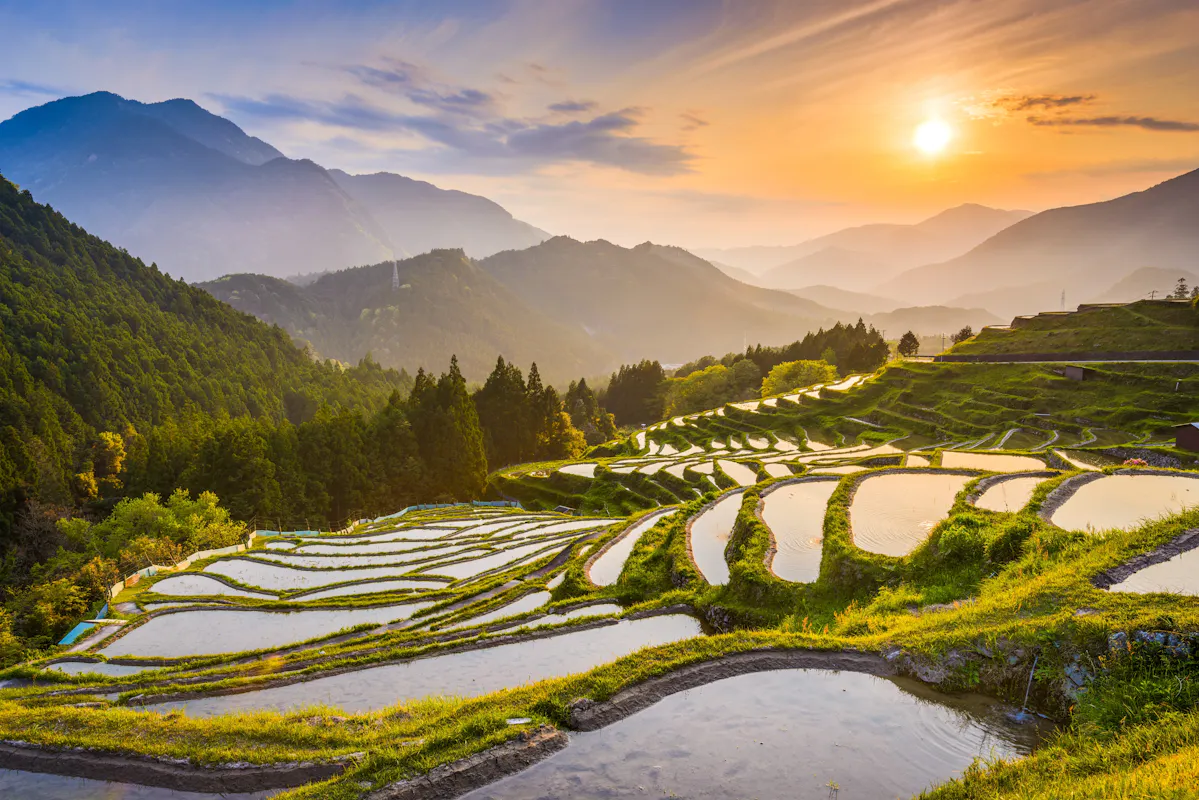 A picturesque view of terraced rice fields at sunset, reflecting the golden sunlight. The fields are surrounded by lush green hills and distant mountains. The sky is a blend of orange and blue hues, with the sun near the horizon.