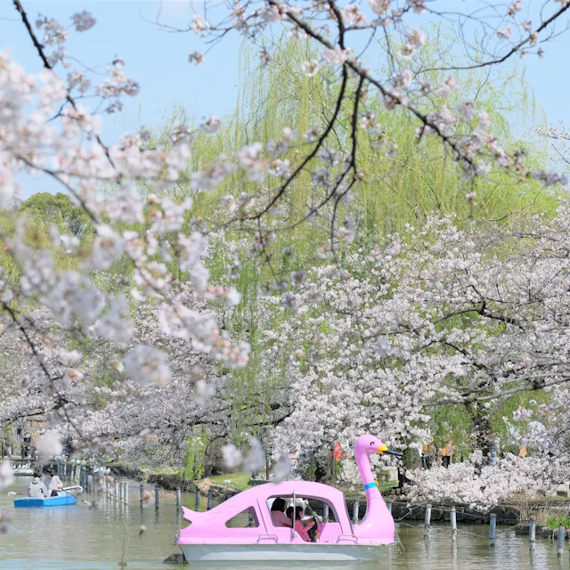 Ueno Park Ueno Park