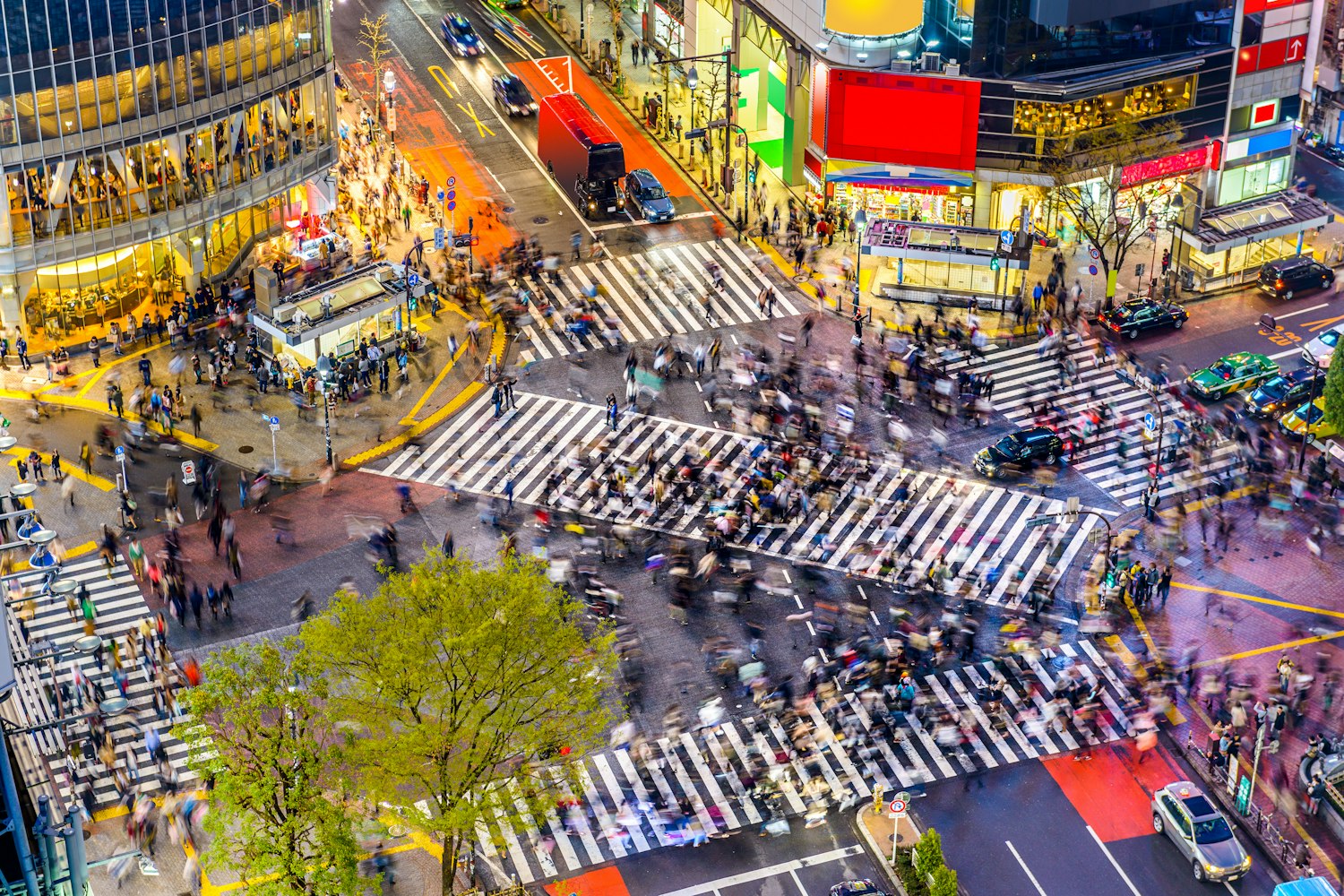 Shibuya Scramble