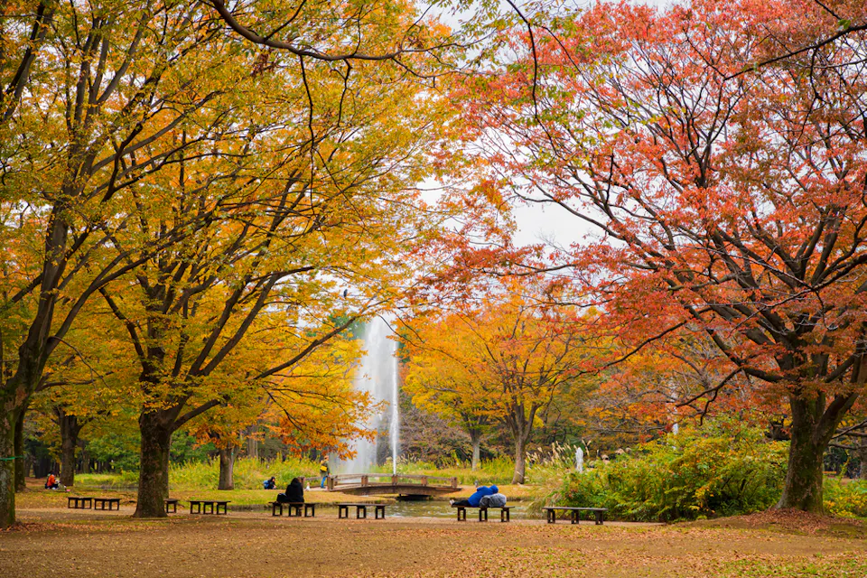 Yoyogi Park
