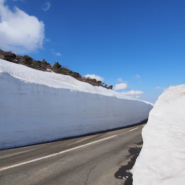 Zao Echo Line Zao Echo Line