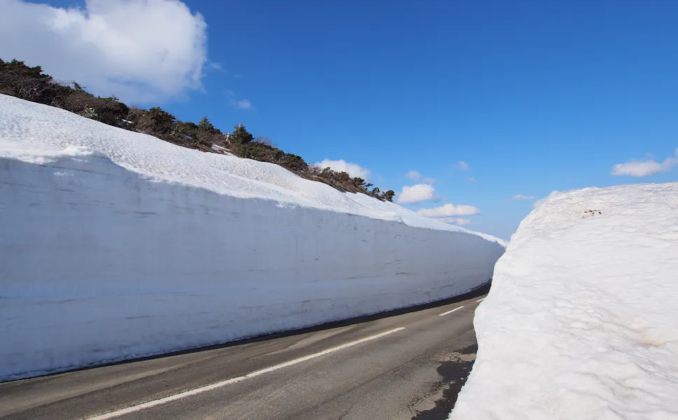 Zao Echo Line Zao Echo Line