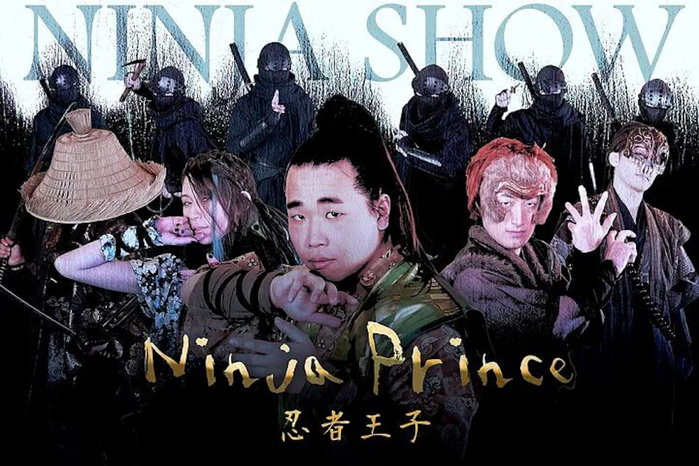 Ninja Prince